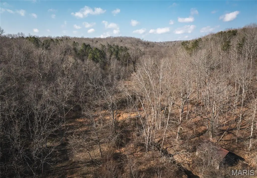 0000 County Road 404, Tract 2, Ellington, MO 63638 - #1