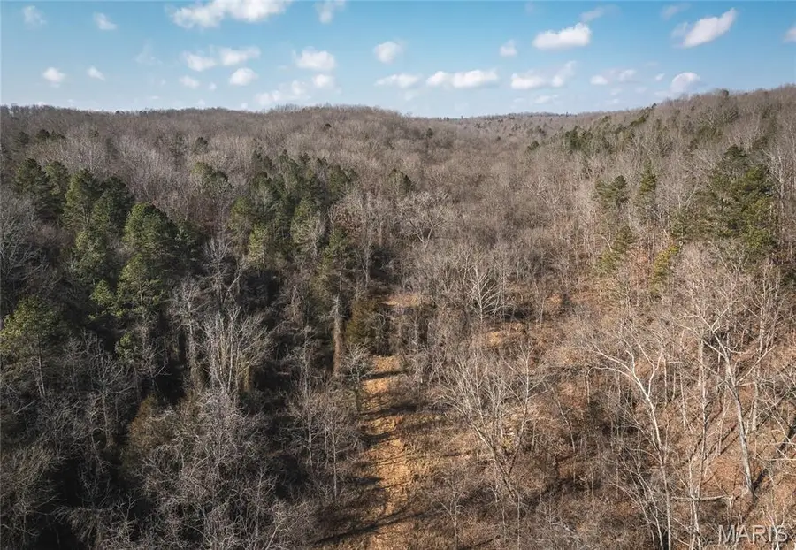 0000 County Road 404, Tract 2, Ellington, MO 63638 - #2