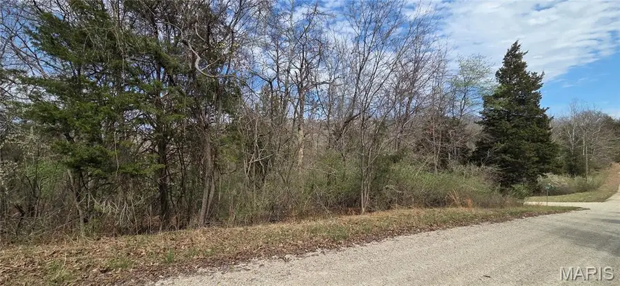 0 Rue De La Paix, Bonne Terre, MO 63628 - #2