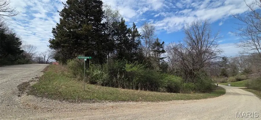 0 Rue De La Paix, Bonne Terre, MO 63628 - #3