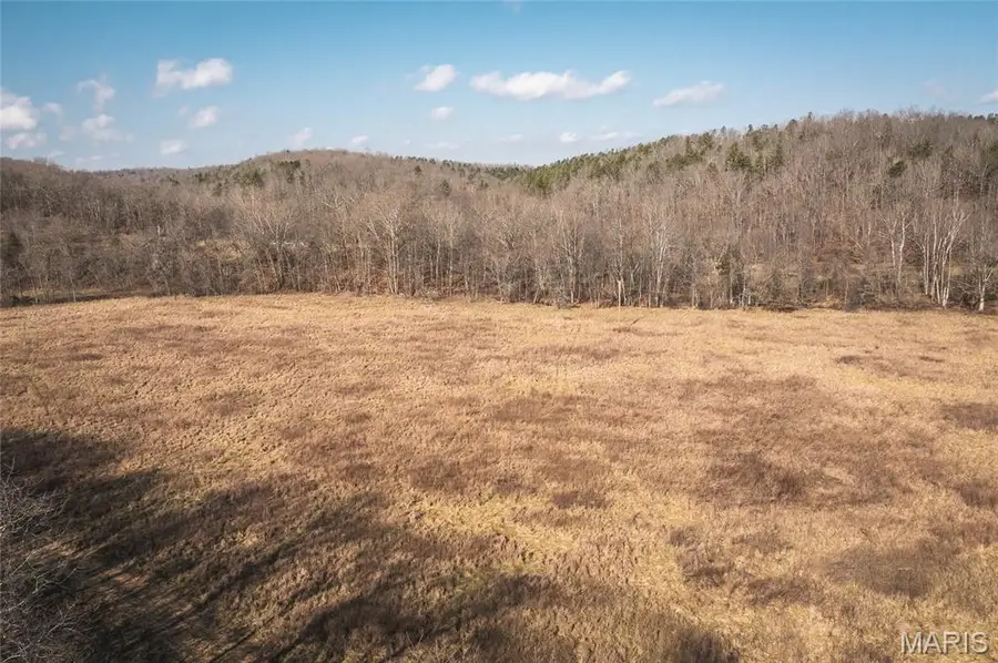 000 County Road 404, Tract 3, Ellington, MO 63638 - #2