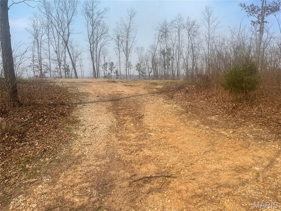 000 Wayne County Road 410, Williamsville, MO 63967 - #2