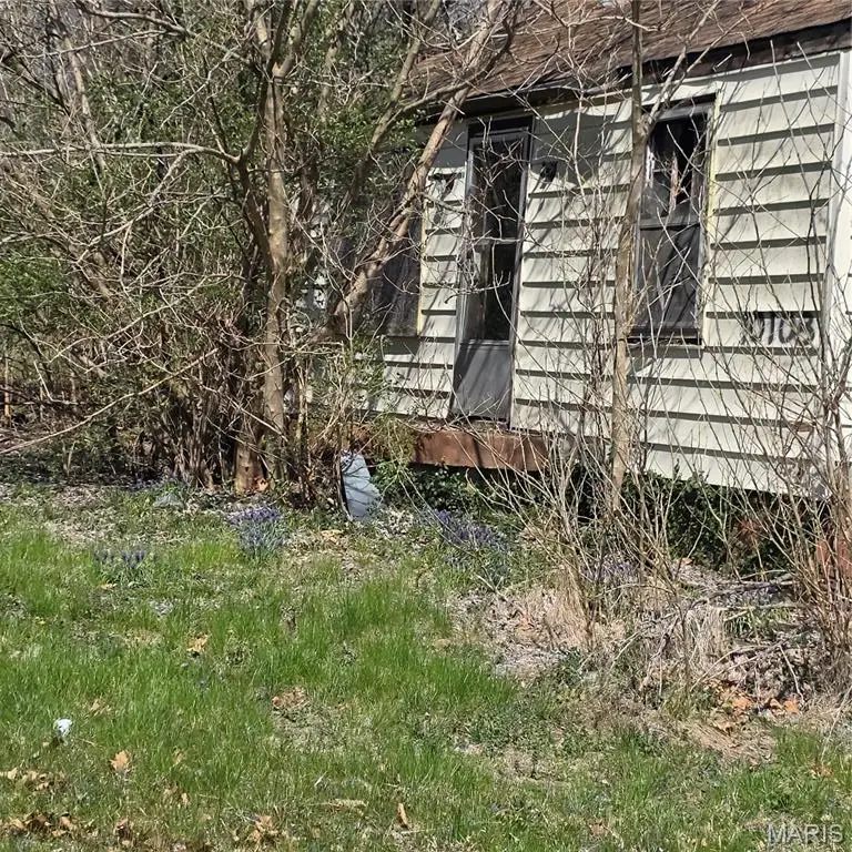 10108 Mayfair Drive, Saint Louis, MO 63136 - #2