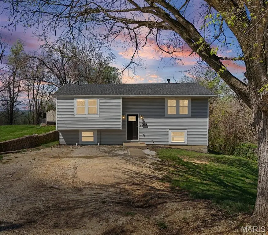 706 Bogy Street, De Soto, MO 63020 - #2