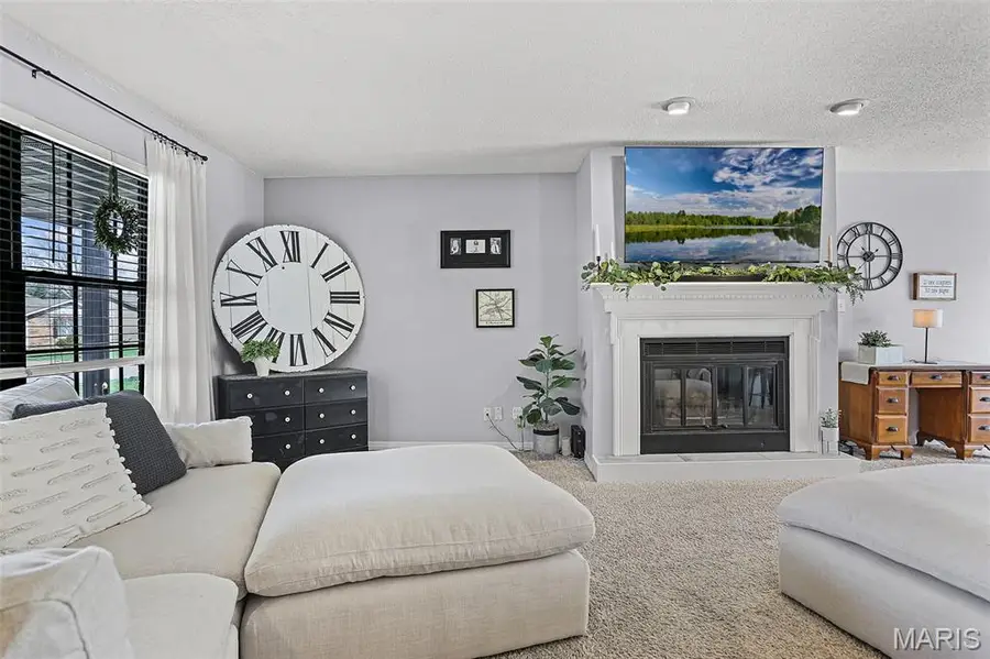 252 Mimosa Avenue, Swansea, IL 62226 - #3