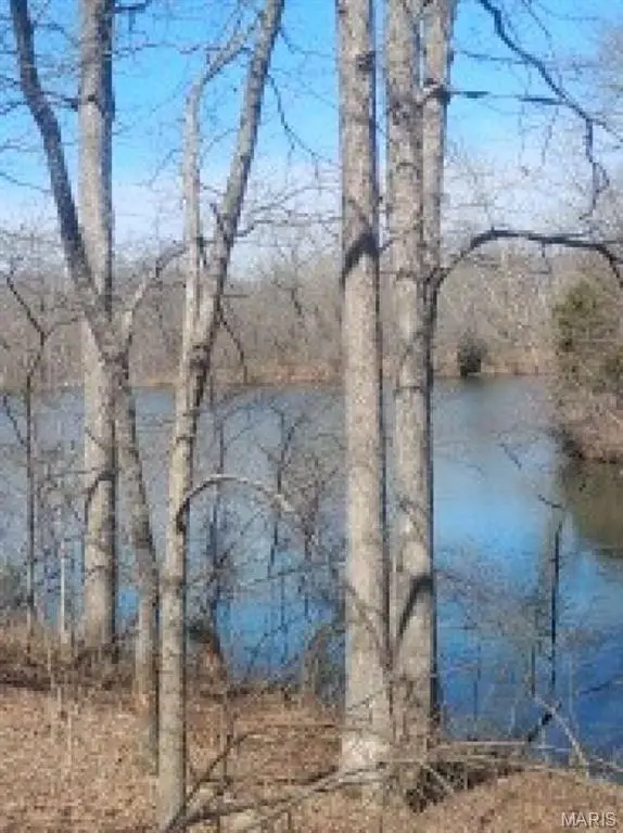 0 E Sunrise Lakes Drive, De Soto, MO 63020 - #2