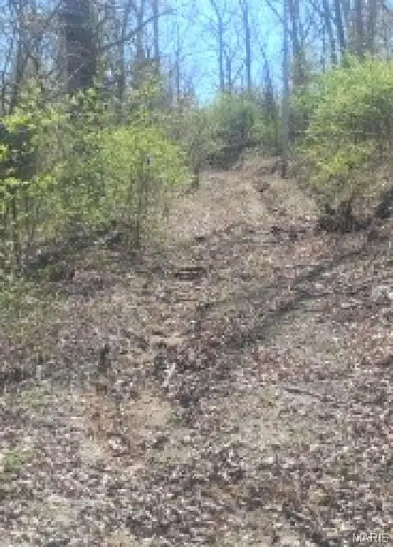 0 E Sunrise Lakes Drive, De Soto, MO 63020 - #3