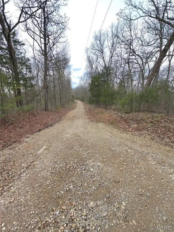 6000 Newman Road, Marion, MO 63628 - #3