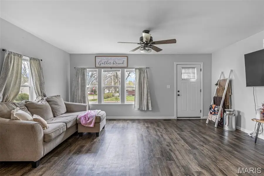 925 Moorland Street, Farmington, MO 63640 - #3