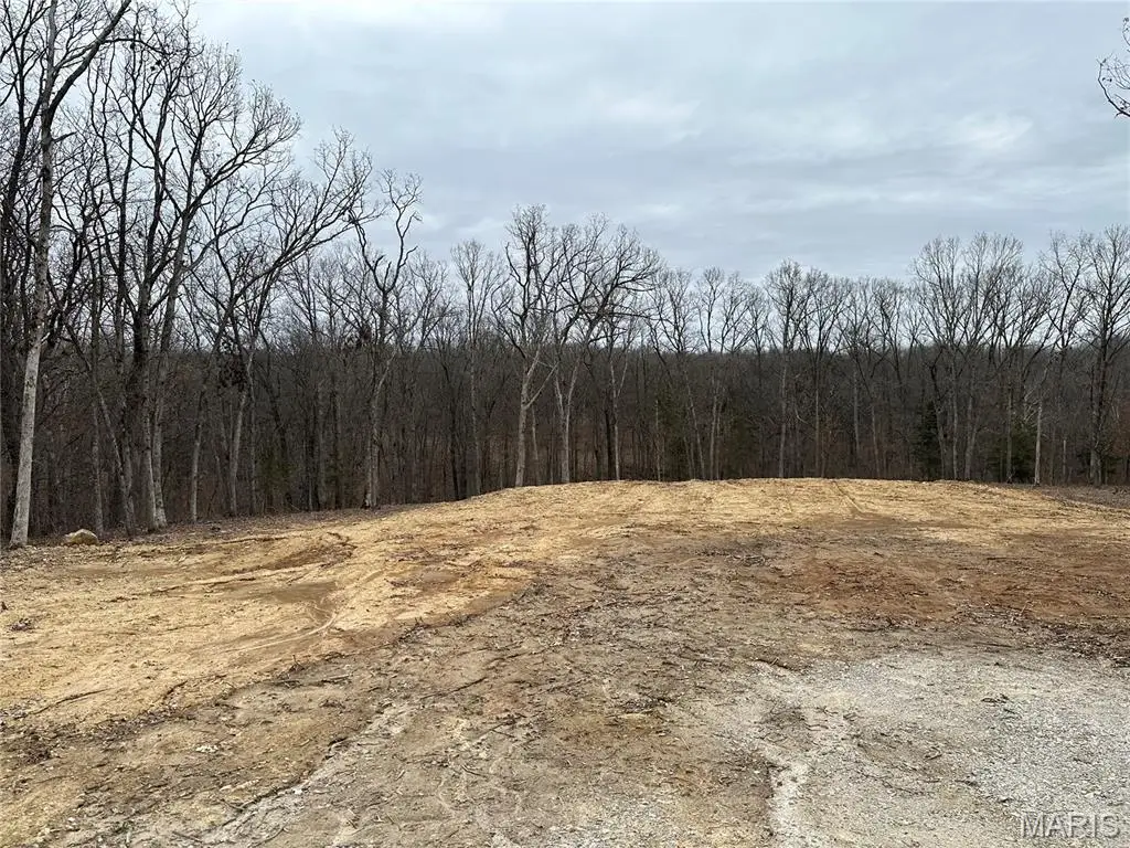 Tract 4 Walker Way, Monroe City, MO 63456 - #1