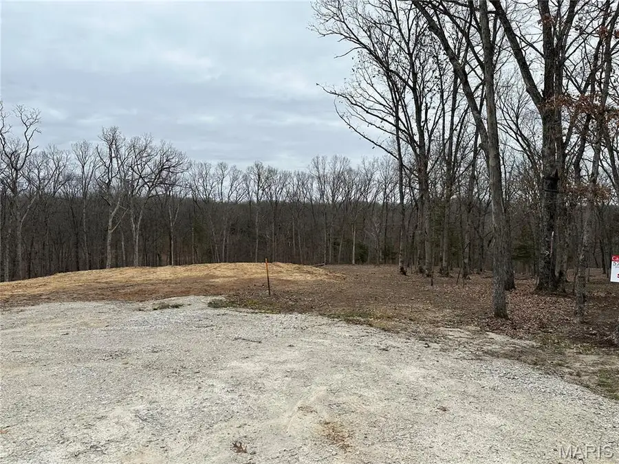 Tract 4 Walker Way, Monroe City, MO 63456 - #2