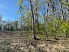 Tract 4 Walker Way, Monroe City, MO 63456 - #3