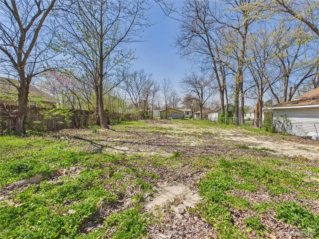 723 N Elm Street, Dexter, MO 63841 - #1