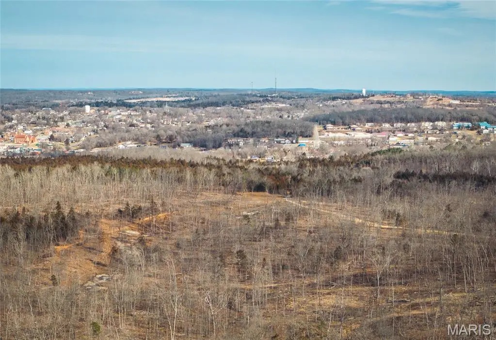 2 Mill Street, Potosi, MO 63664 - #1