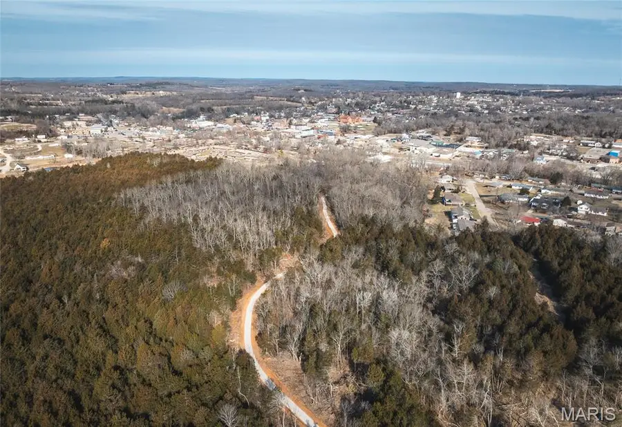 2 Mill Street, Potosi, MO 63664 - #2