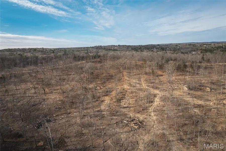 2 Mill Street, Potosi, MO 63664 - #3