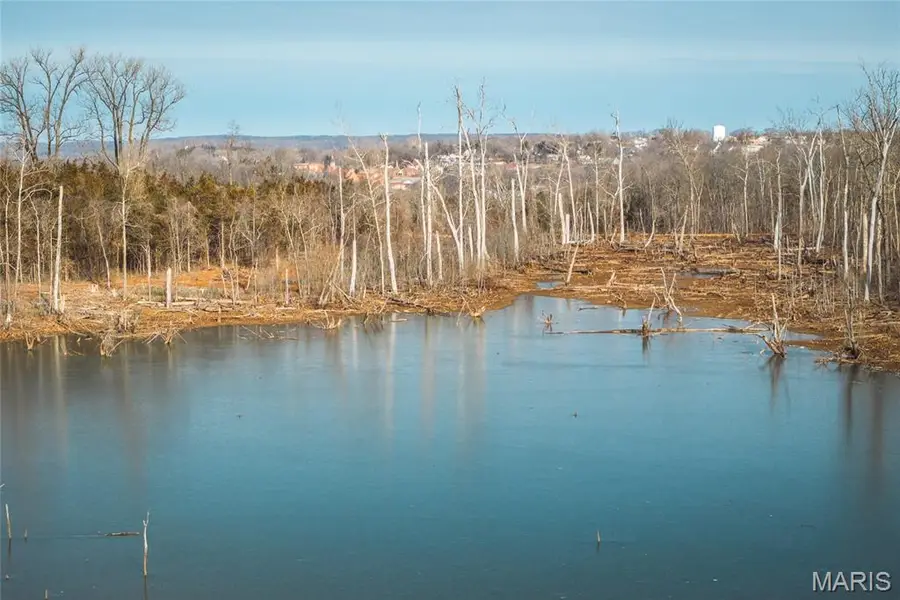 1 Mill Street, Potosi, MO 63664 - #2