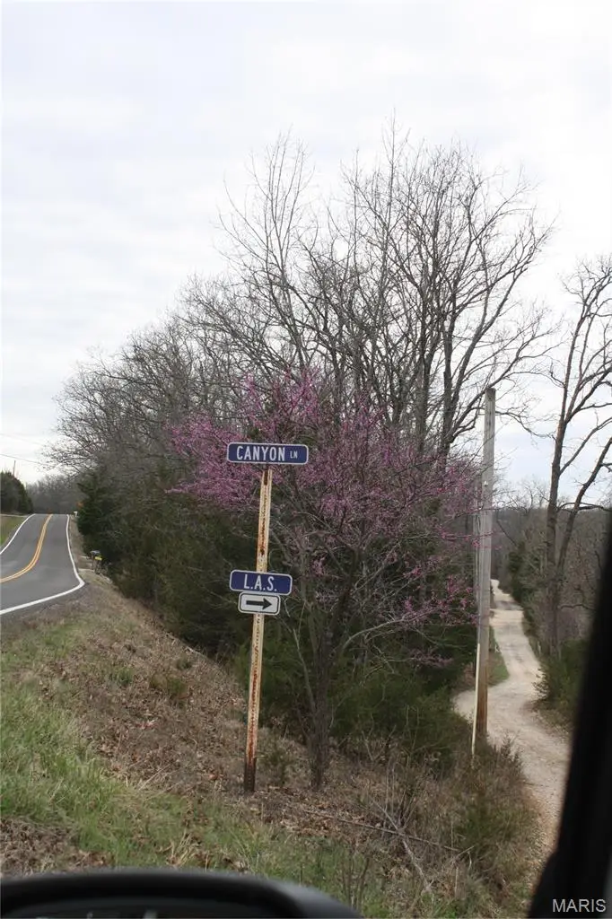 0 Canyon Ln, Dittmer, MO 63023 - #1