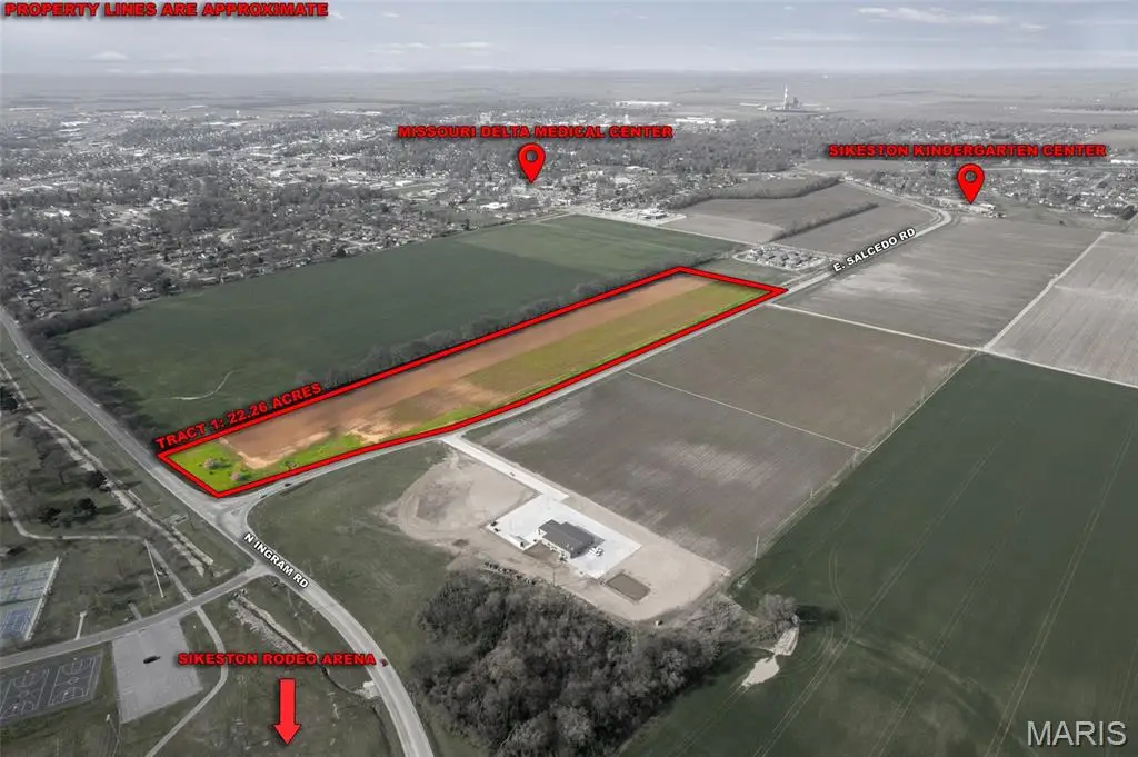 0 E Salcedo Road, Sikeston, MO 63801 - #1