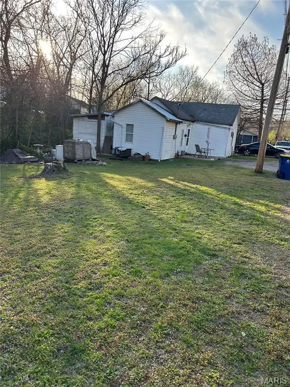 421 Deno Street, De Soto, MO 63020 - #2