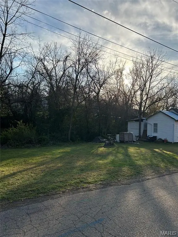 421 Deno Street, De Soto, MO 63020 - #3