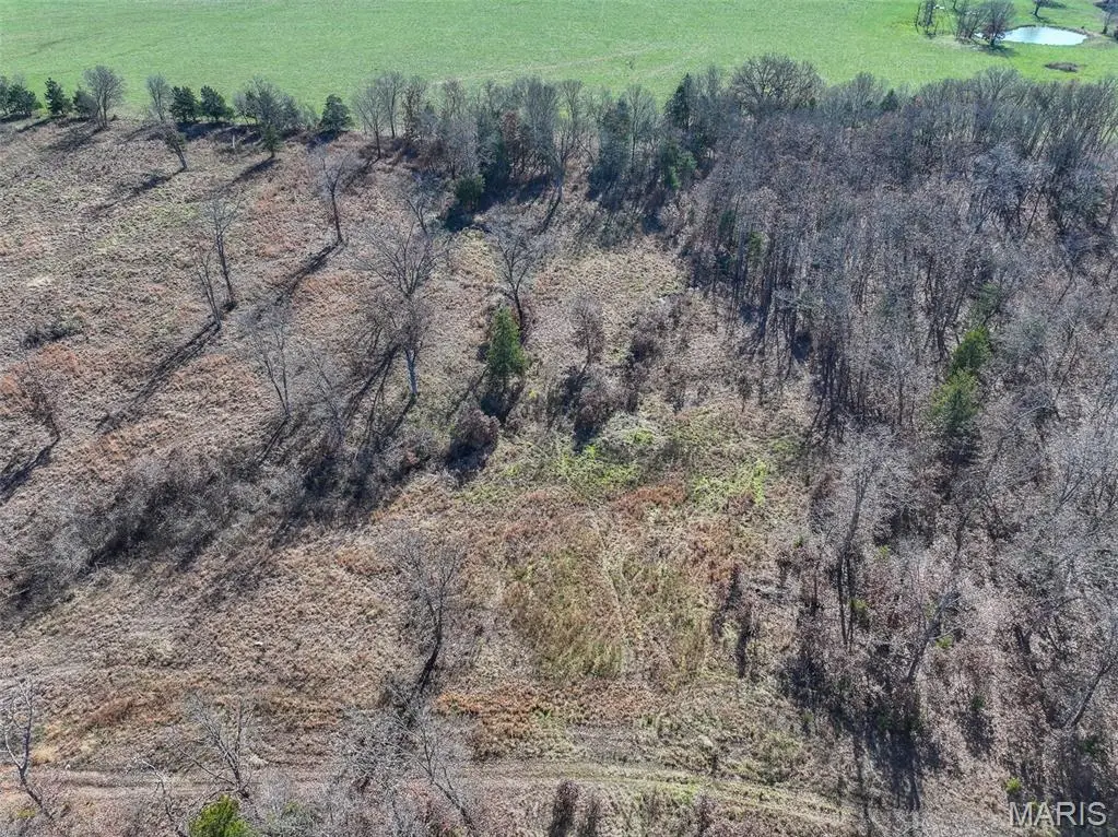 000 SE 1151 Road, Collins, MO 64738 - #1