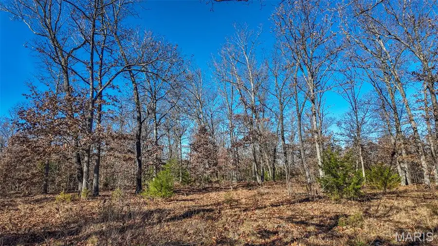 000 SE 1151 Road, Collins, MO 64738 - #2