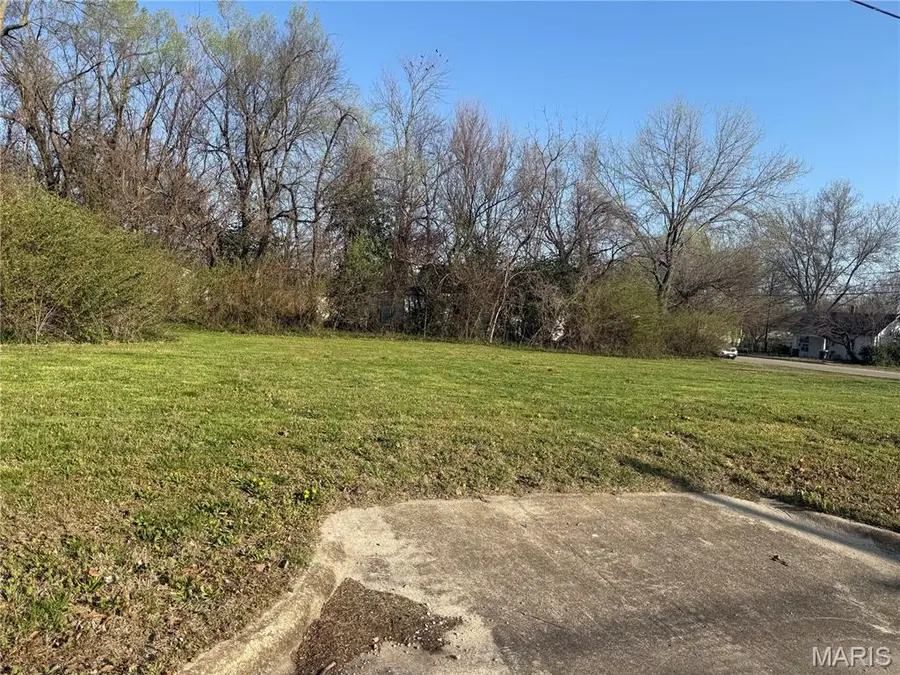 311 Polk Street, Lebanon, MO 65536 - #2