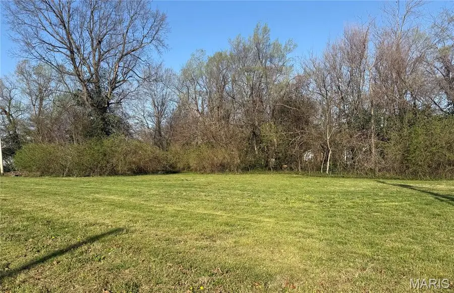 311 Polk Street, Lebanon, MO 65536 - #3