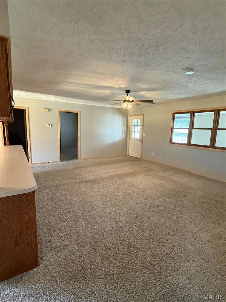 12223 Nodaway Lane, Plato, MO 65552 - #2