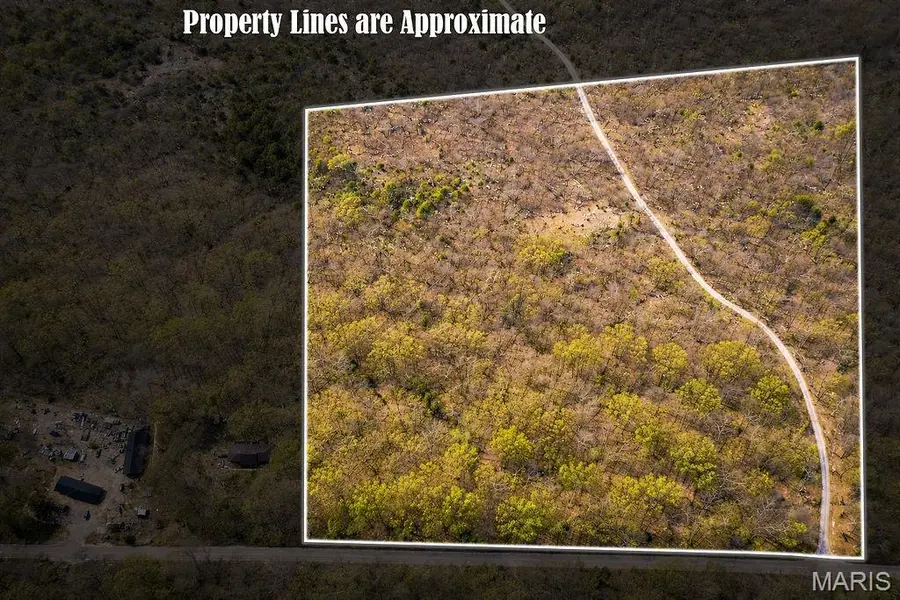 0 Buck Mountain Rd, Doe Run, MO 63637 - #3