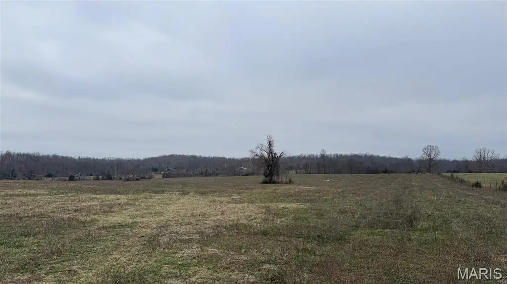 1 Ripley Z-4, Gatewood, MO 63942 - #1