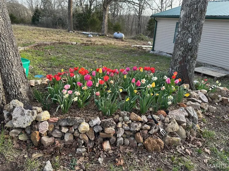 3811 Highway 137, Elk Creek, MO 65464 - #2