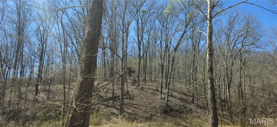 0 County Road 422, Ellington, MO 63638 - #2