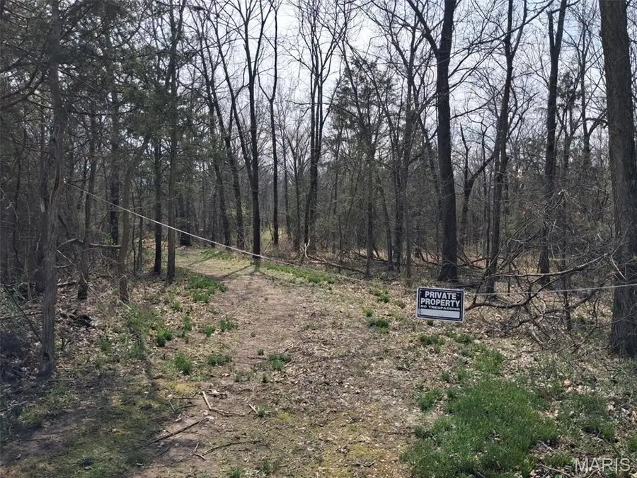 4 Monroe Road 439, Stoutsville, MO 65283 - #3