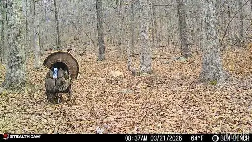 0 Highway O, Fredericktown, MO 63645