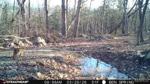 0 Highway O, Fredericktown, MO 63645 - #3