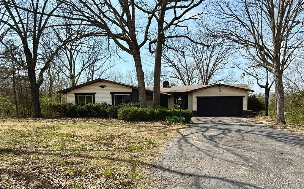 333 Rue Chambly, Bonne Terre, MO 63628 - #1