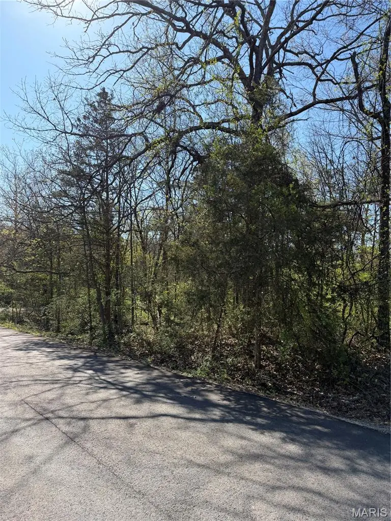 TBD Rue Charlemange, Bonne Terre, MO 63628 - #2