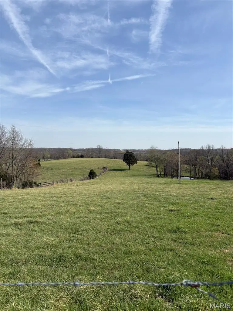 0 County Road 520, Oak Ridge, MO 63769 - #1