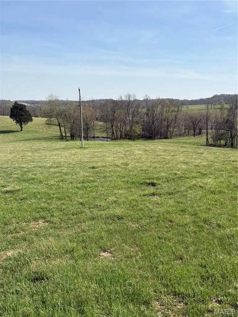 0 County Road 520, Oak Ridge, MO 63769 - #2