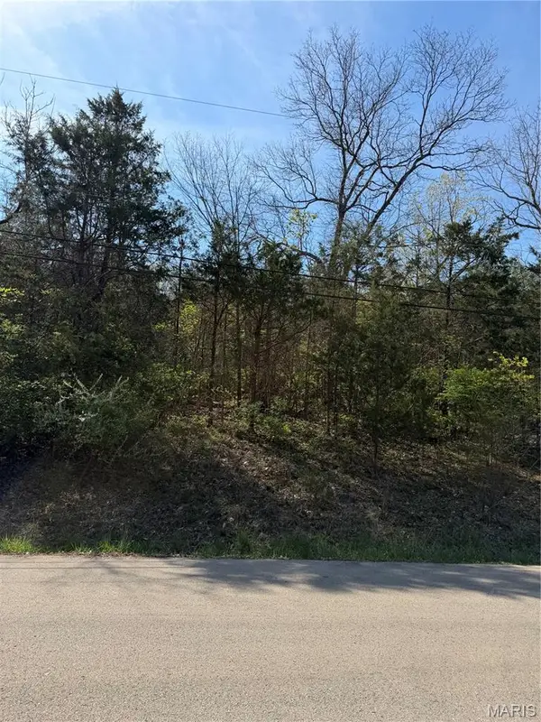 TBD Napoleon Dr., Bonne Terre, MO 63628