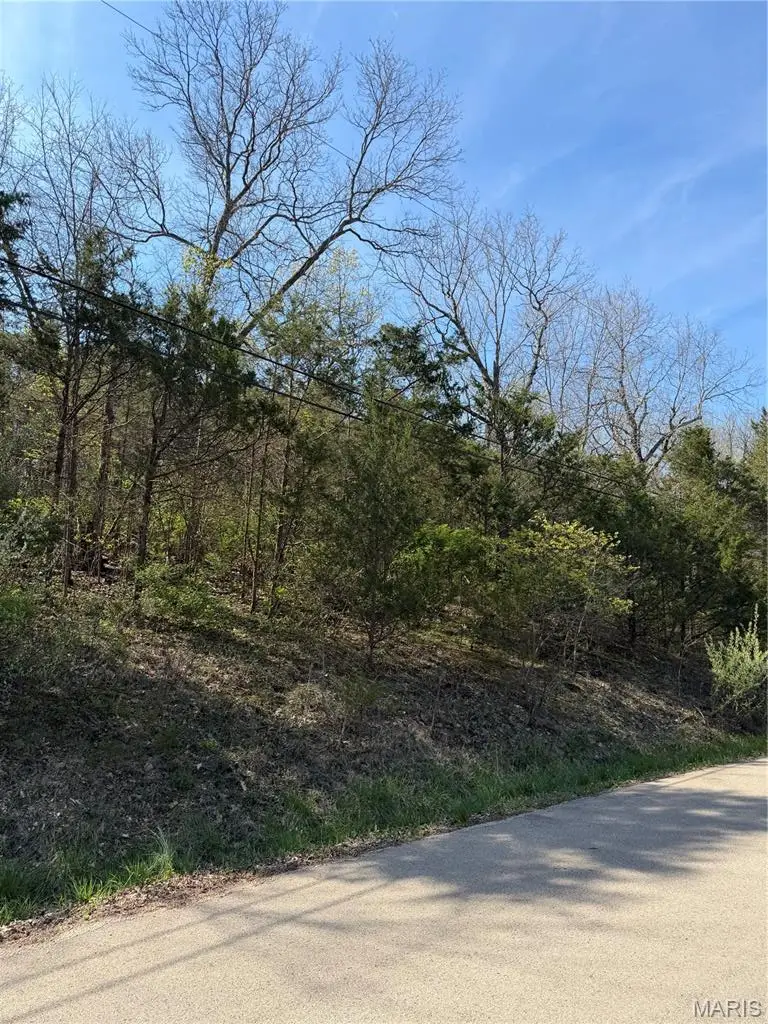 TBD Napoleon Dr., Bonne Terre, MO 63628 - #2