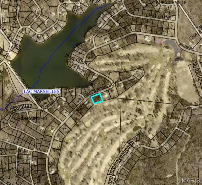 TBD Napoleon Dr., Bonne Terre, MO 63628 - #3