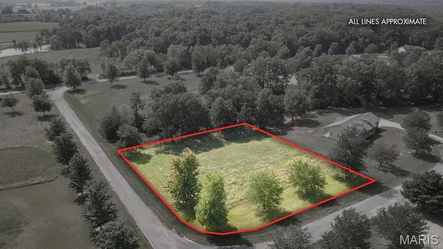 0 Springman Lane, Brighton, IL 62012 - #2