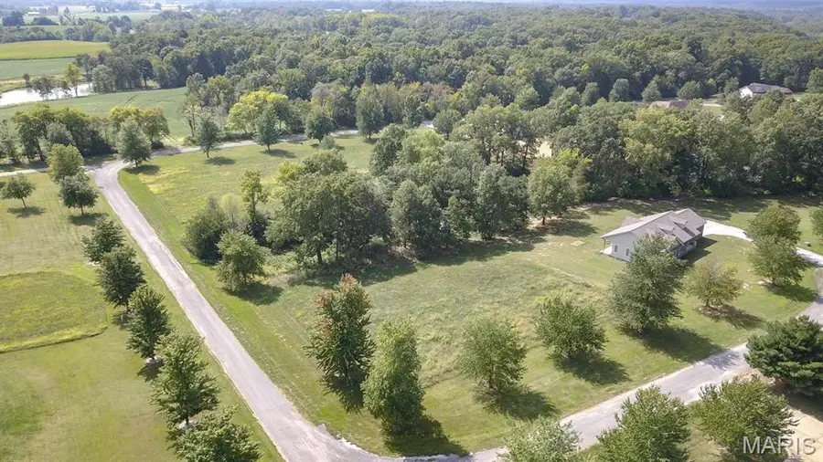 0 Springman Lane, Brighton, IL 62012 - #3