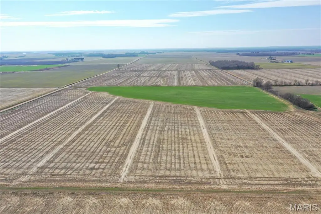TBD Clay County Road 172, Brown Carpenter, AR 72470 - #1