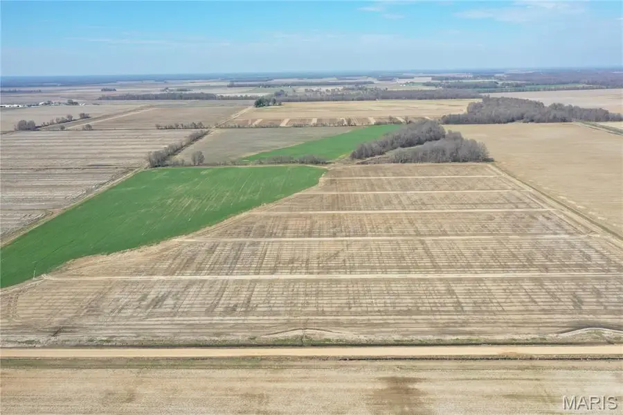 TBD Clay County Road 172, Brown Carpenter, AR 72470 - #3