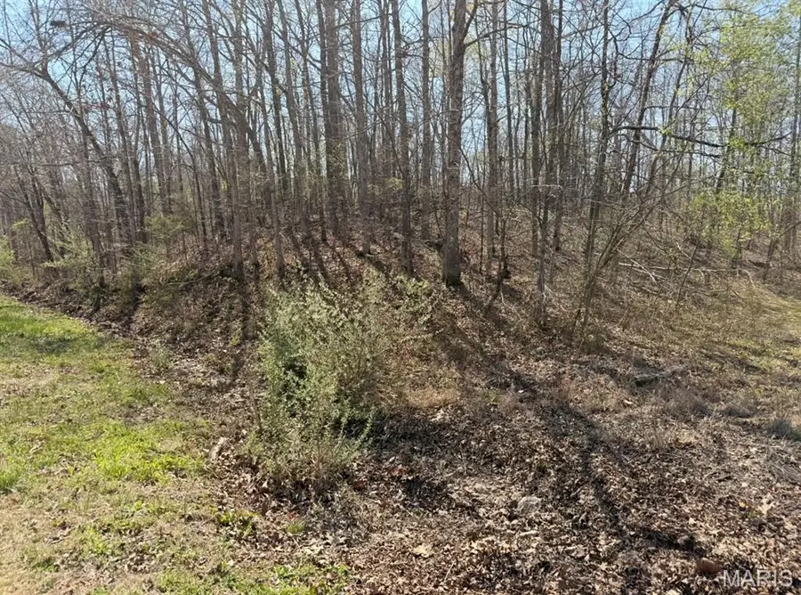 0 Woodland Hills Road, Poplar Bluff, MO 63901 - #2