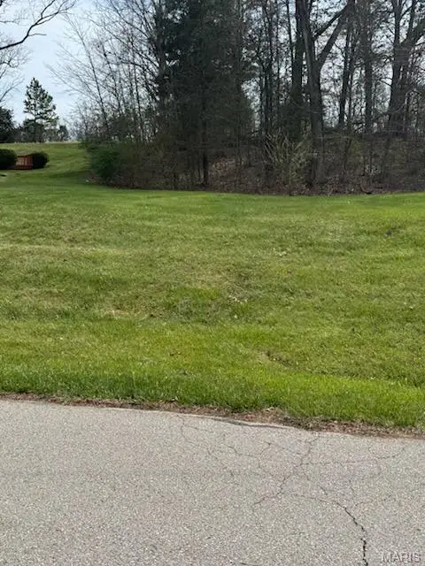 Lot 107A - Cedar Circle Drive, Ste Genevieve, MO 63670 - #2